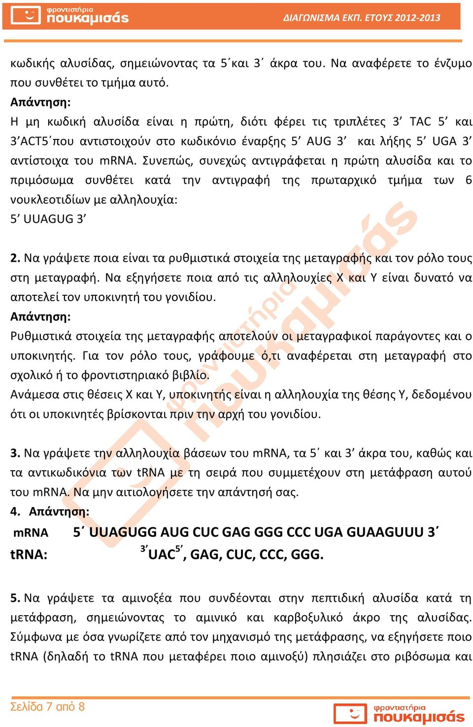 Συνεπώς, συνεχώς αντιγράφεται η πρώτη αλυσίδα και το πριμόσωμα συνθέτει κατά την αντιγραφή της πρωταρχικό τμήμα των 6 νουκλεοτιδίων με αλληλουχία: 5 UUAGUG 3 2.