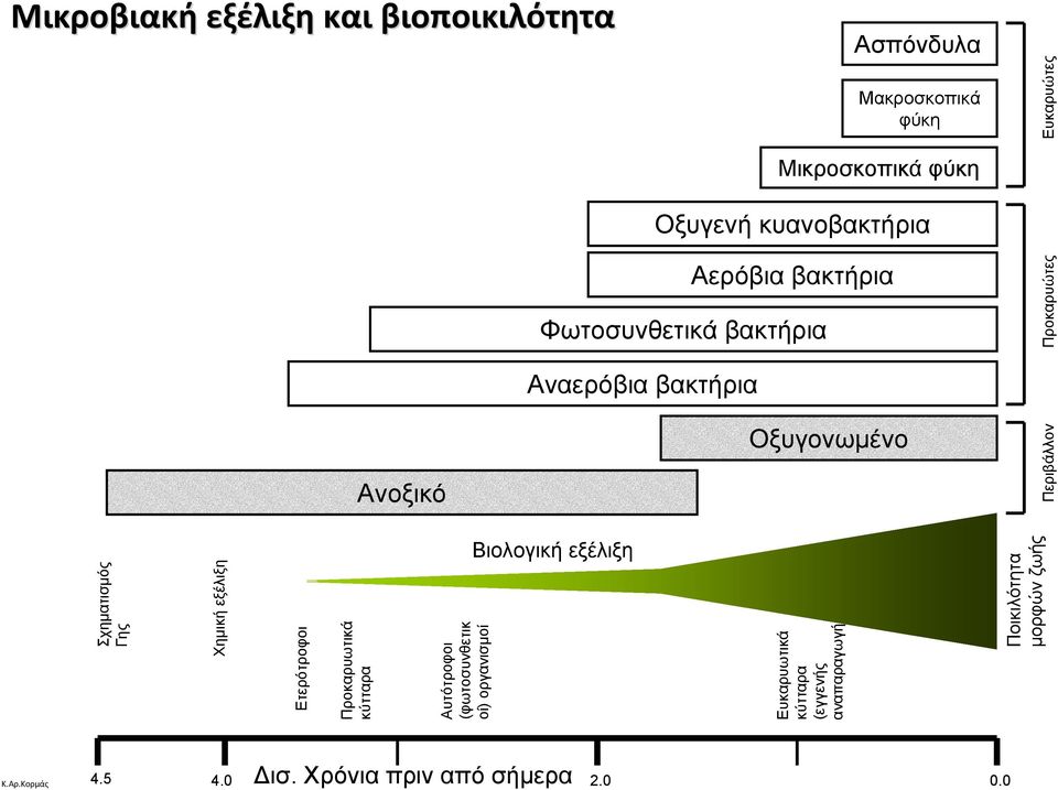 Ανοξικό Ποικιλότητα μορφών ζωής Βιολογική εξέλιξη Ετερότροφοι Προκαρυωτικά κύτταρα Αυτότροφοι (φωτοσυνθετικ οί)