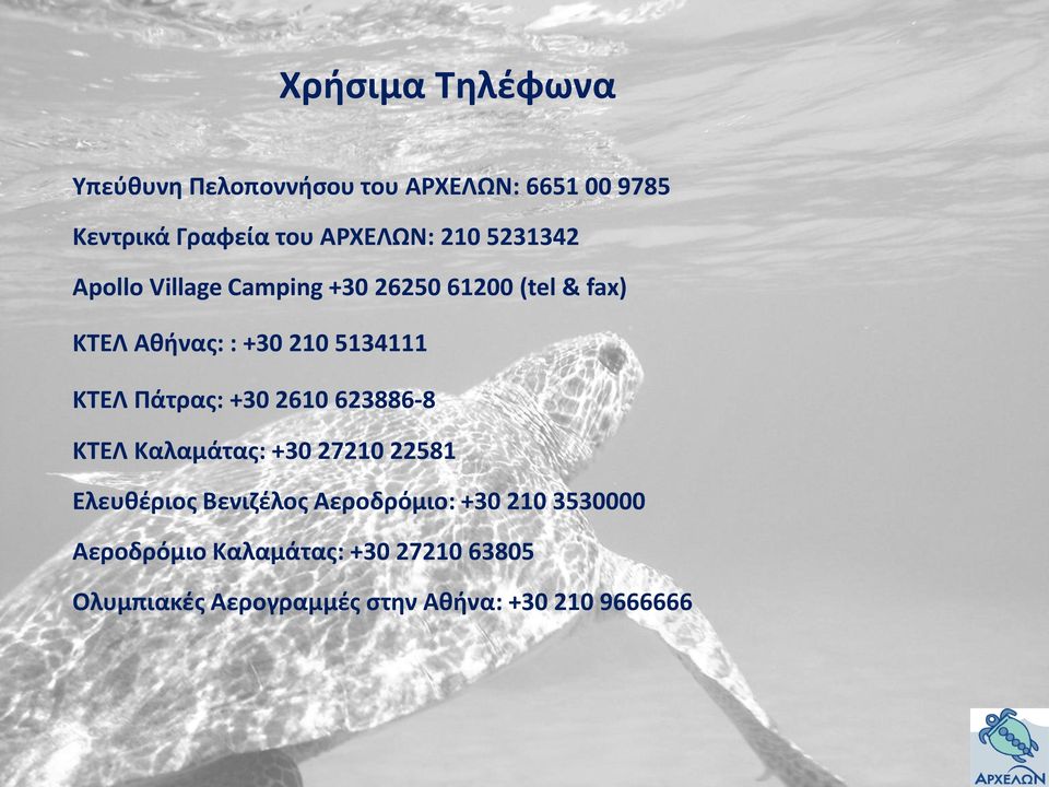 ΚΤΕΛ Πάτρας: +30 2610 623886-8 ΚΤΕΛ Καλαμάτας: +30 27210 22581 Ελευθέριος Βενιζέλος Αεροδρόμιο: