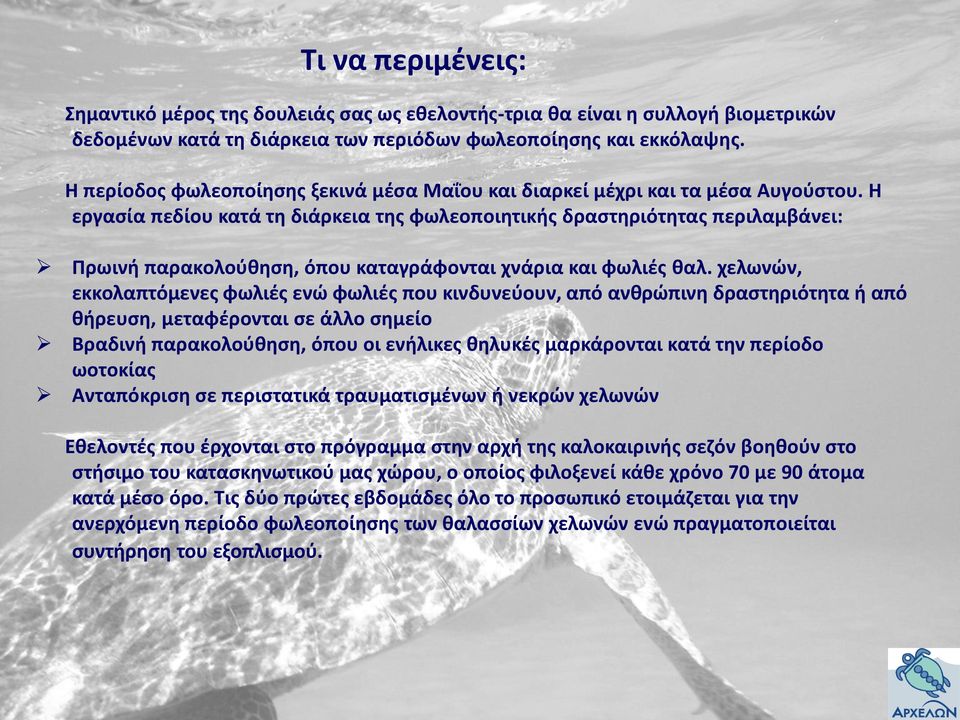 Η εργασία πεδίου κατά τη διάρκεια της φωλεοποιητικής δραστηριότητας περιλαμβάνει: Πρωινή παρακολούθηση, όπου καταγράφονται χνάρια και φωλιές θαλ.