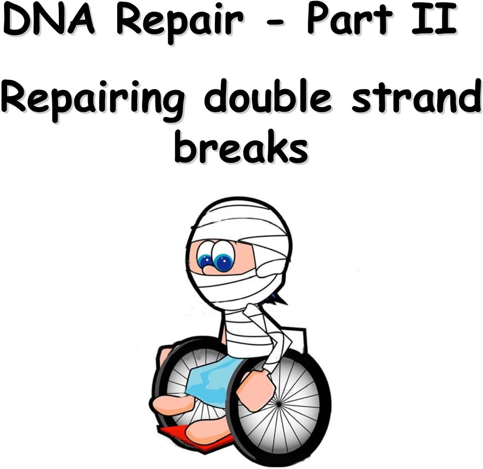 Repairing