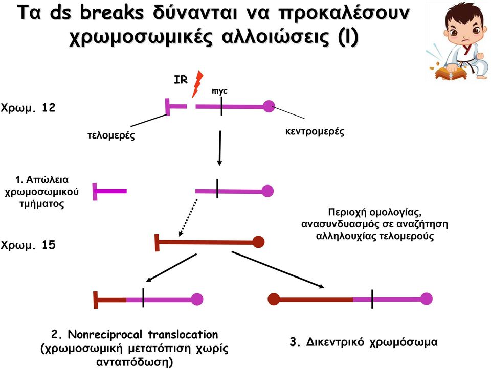 15 Περιοχή ομολογίας, ανασυνδυασμός σε αναζήτηση αλληλουχίας τελομερούς 2.