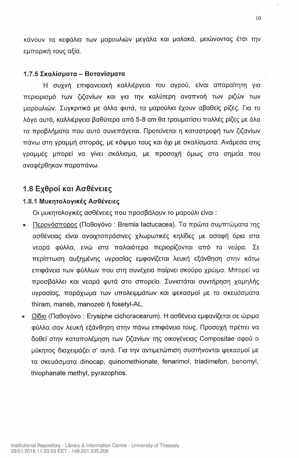 Συγκριτικά με άλλα φυτά, τα μαρούλια έχουν αβαθείς ρίζες. Για το λόγο αυτό, καλλιέργεια βαθύτερα από 5-8 cm θα τραυματίσει πολλές ρίζες με όλα τα προβλήματα που αυτό συνεπάγεται.