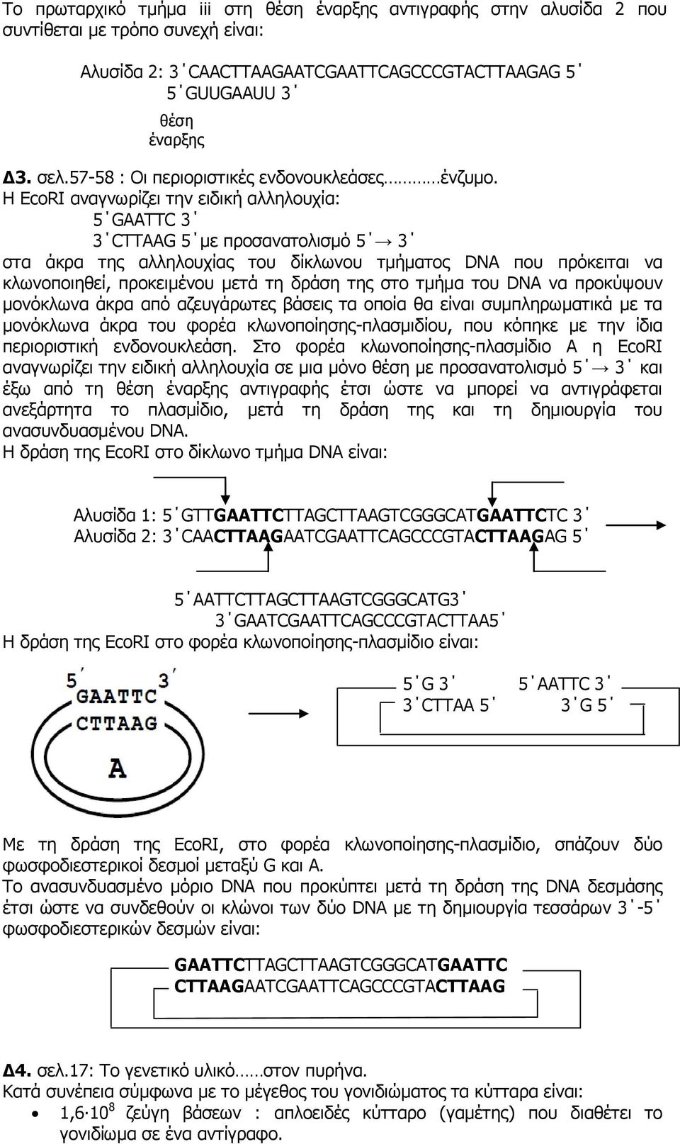 Η EcoRI αναγνωρίζει την ειδική αλληλουχία: 5 GAATTC 3 3 CTTAAG 5 με προσανατολισμό 5 3 στα άκρα της αλληλουχίας του δίκλωνου τμήματος DNA που πρόκειται να κλωνοποιηθεί, προκειμένου μετά τη δράση της