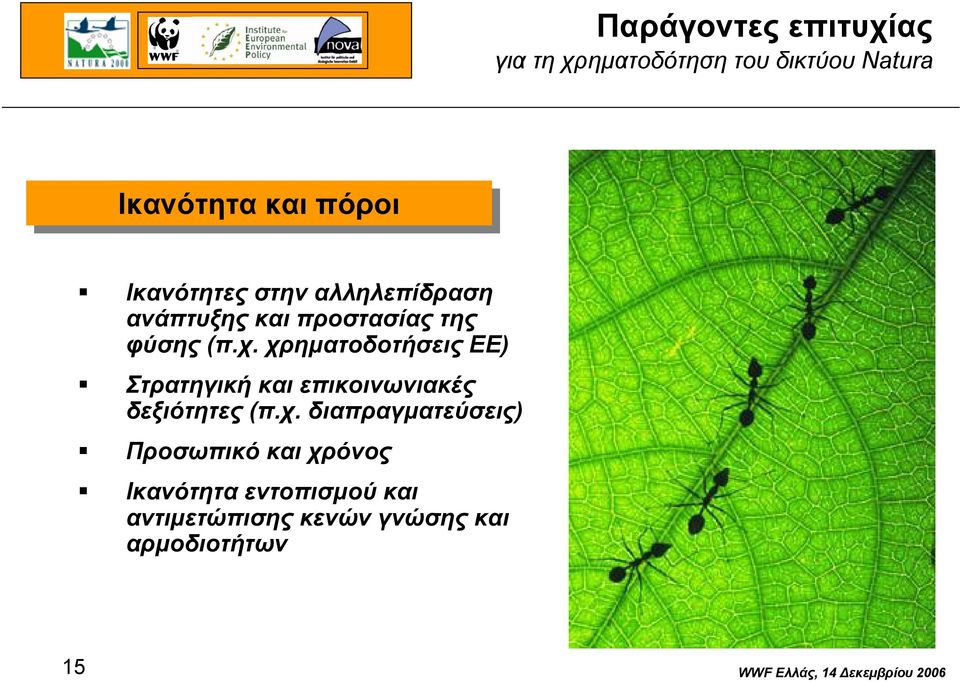 χρηµατοδοτήσεις ΕΕ) Στρατηγική και επικοινωνιακές δεξιότητες (π.χ.