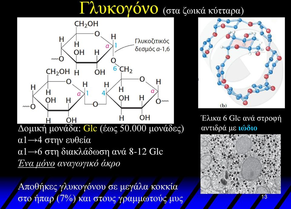 Ένα μόνο αναγωγικό άκρο Έλικα 6 Glc ανά στροφή αντιδρά με ιώδιο