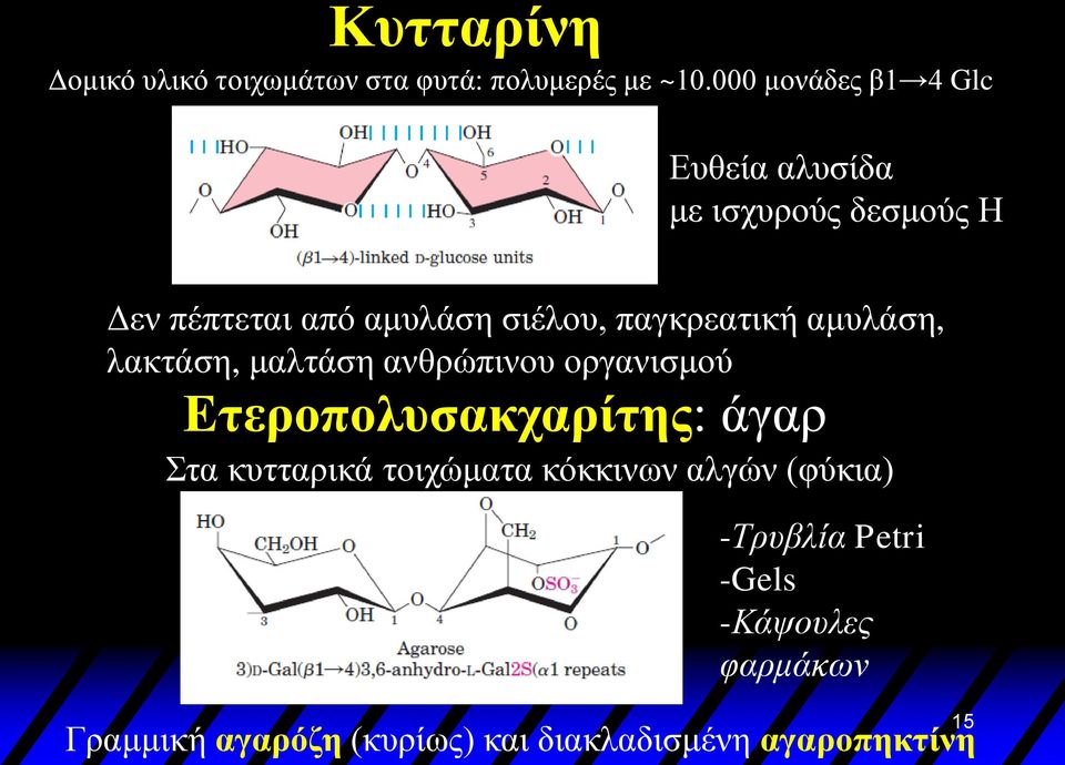 παγκρεατική αμυλάση, λακτάση, μαλτάση ανθρώπινου οργανισμού Ετεροπολυσακχαρίτης: άγαρ Στα