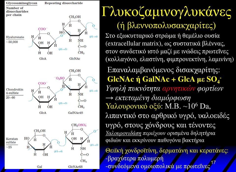 φορτίων εκτεταμένη διαμόρφωση Υαλουρονικό οξύ: Μ.Β.