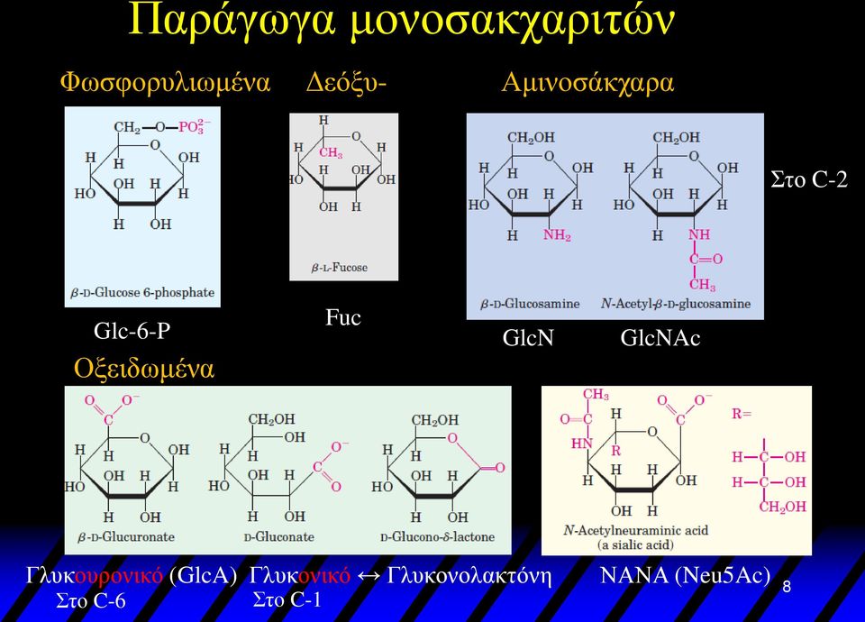 Οξειδωμένα Fuc GlcN GlcNAc Γλυκουρονικό