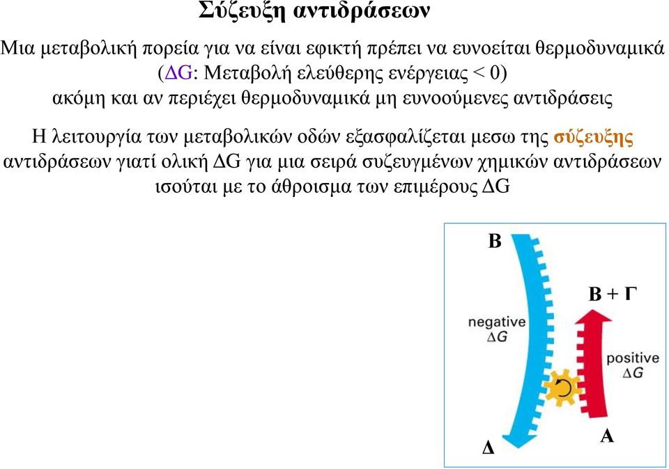 αντιδράσεις Η λειτουργία των μεταβολικών οδών εξασφαλίζεται μεσω της σύζευξης αντιδράσεων γιατί