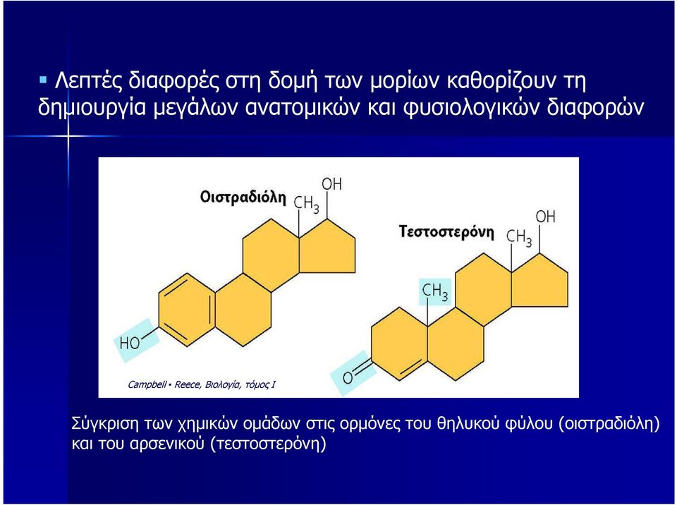 Βιολογία, τόµος I Σύγκριση των χηµικών οµάδων στις ορµόνες