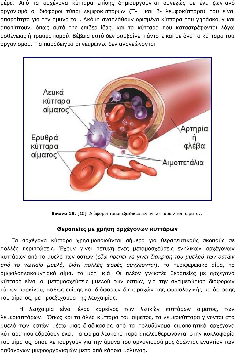 Βέβαια αυτό δεν συμβαίνει πάντοτε και με όλα τα κύτταρα του οργανισμού. Για παράδειγμα οι νευρώνες δεν ανανεώνονται. Εικόνα 15. [10] Διάφοροι τύποι εξειδικευμένων κυττάρων του αίματος.