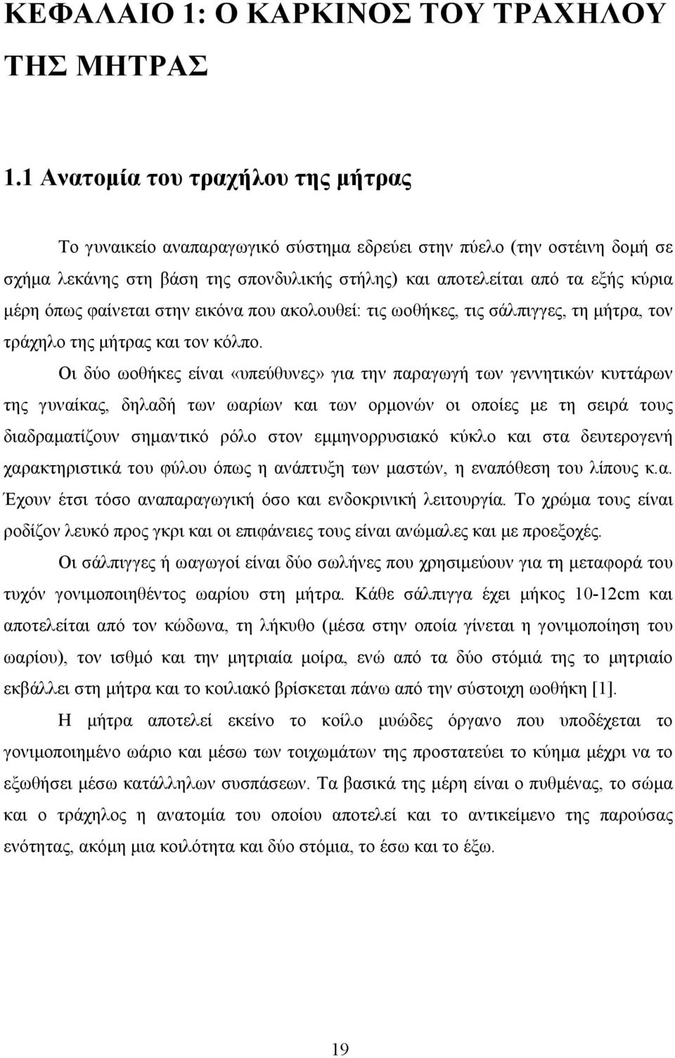 όπως φαίνεται στην εικόνα που ακολουθεί: τις ωοθήκες, τις σάλπιγγες, τη µήτρα, τον τράχηλο της µήτρας και τον κόλπο.