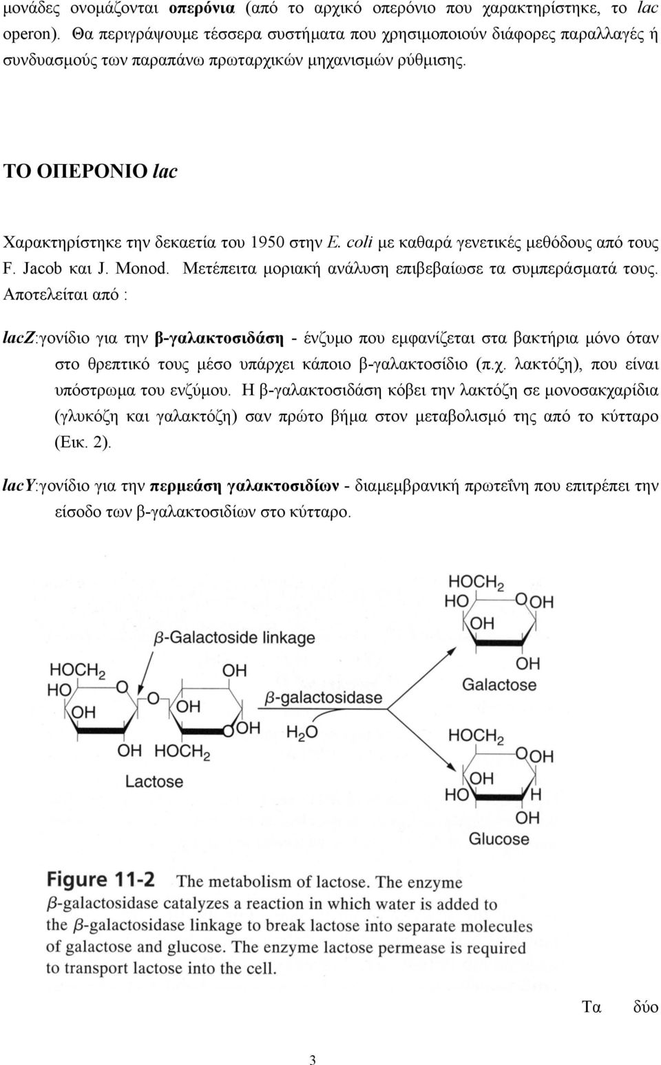 coli µε καθαρά γενετικές µεθόδους από τους F. Jacob και J. Monod. Mετέπειτα µοριακή ανάλυση επιβεβαίωσε τα συµπεράσµατά τους.