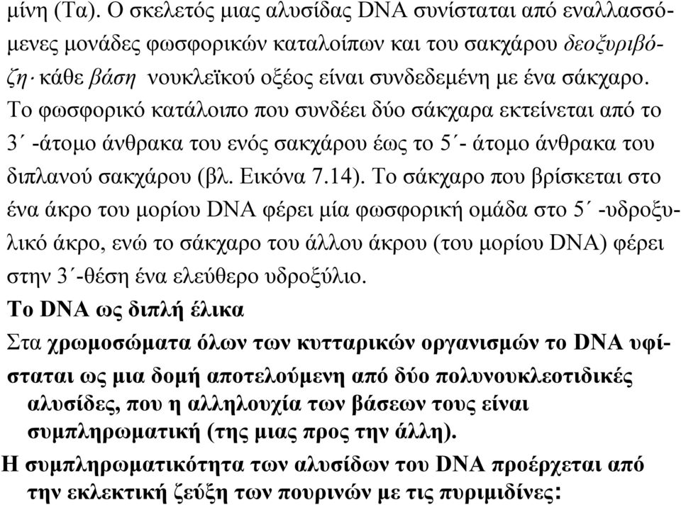 Το σάκχαρο που βρίσκεται στο ένα άκρο του μορίου DNA φέρει μία φωσφορική ομάδα στο 5 -υδροξυλικό άκρο, ενώ το σάκχαρο του άλλου άκρου (του μορίου DNA) φέρει στην 3 -θέση ένα ελεύθερο υδροξύλιο.