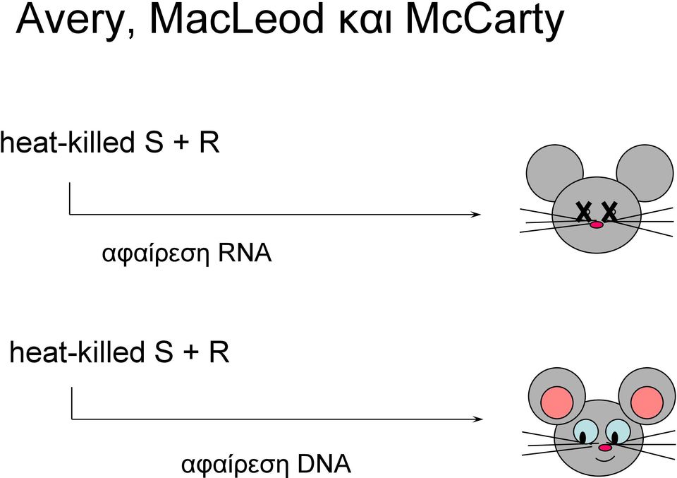 + R αφαίρεση RNA