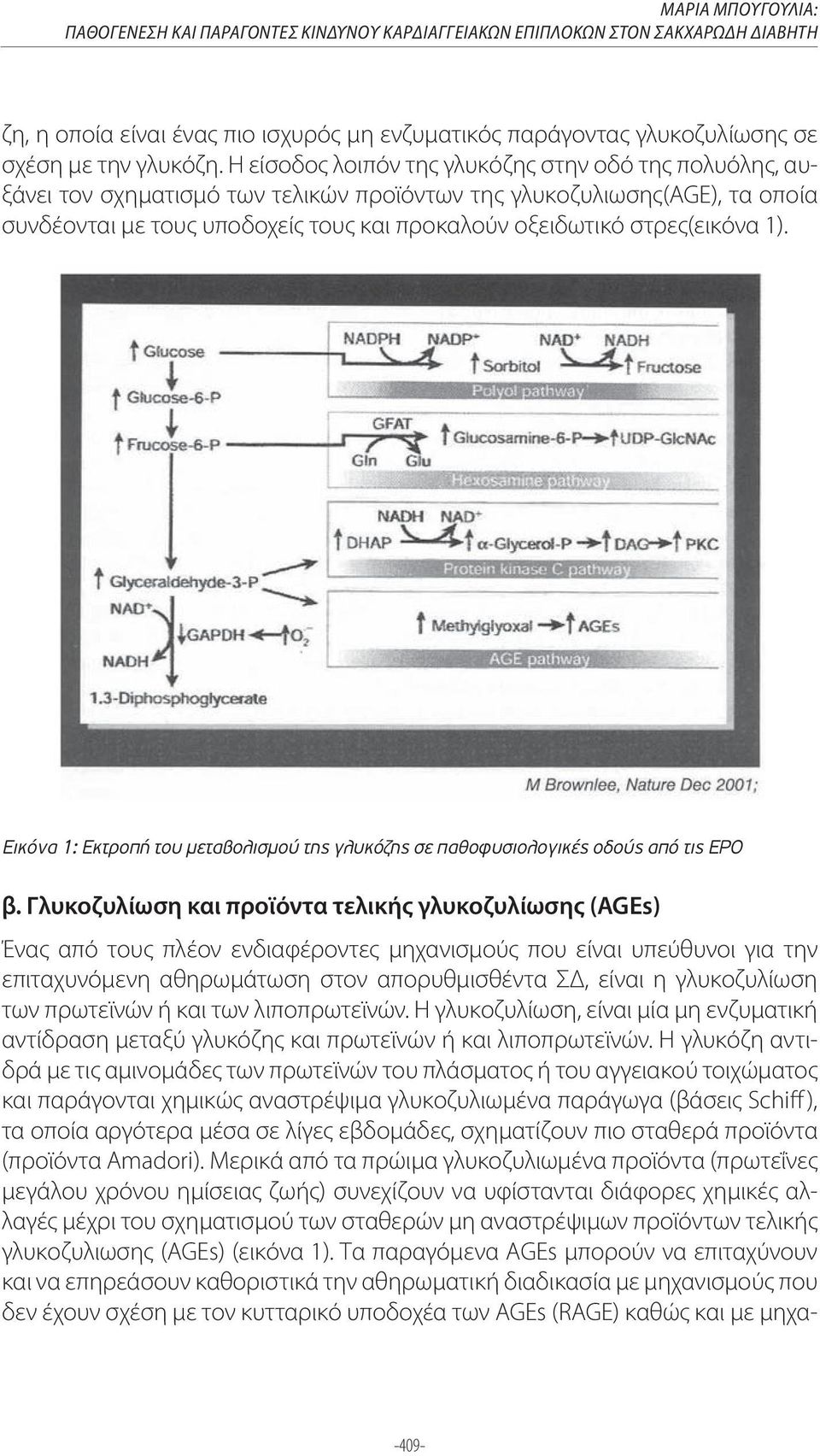 στρες(εικόνα 1). Εικόνα 1: Εκτροπή του µεταβολισµού της γλυκόζης σε παθοφυσιολογικές οδούς από τις ΕΡΟ β.