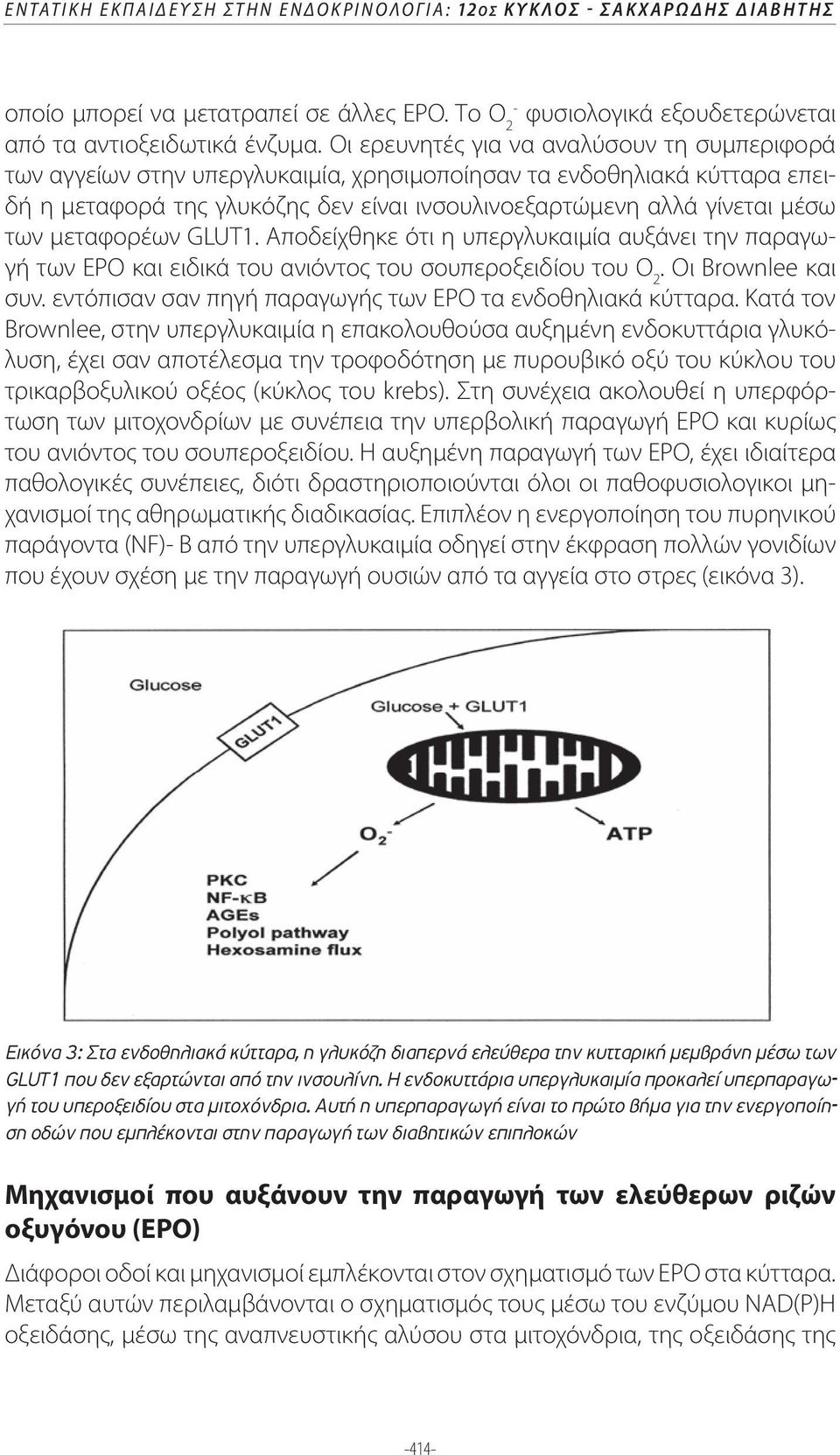 μεταφορέων GLUT1. Αποδείχθηκε ότι η υπεργλυκαιμία αυξάνει την παραγωγή των ΕΡΟ και ειδικά του ανιόντος του σουπεροξειδίου του Ο 2. Οι Brownlee και συν.