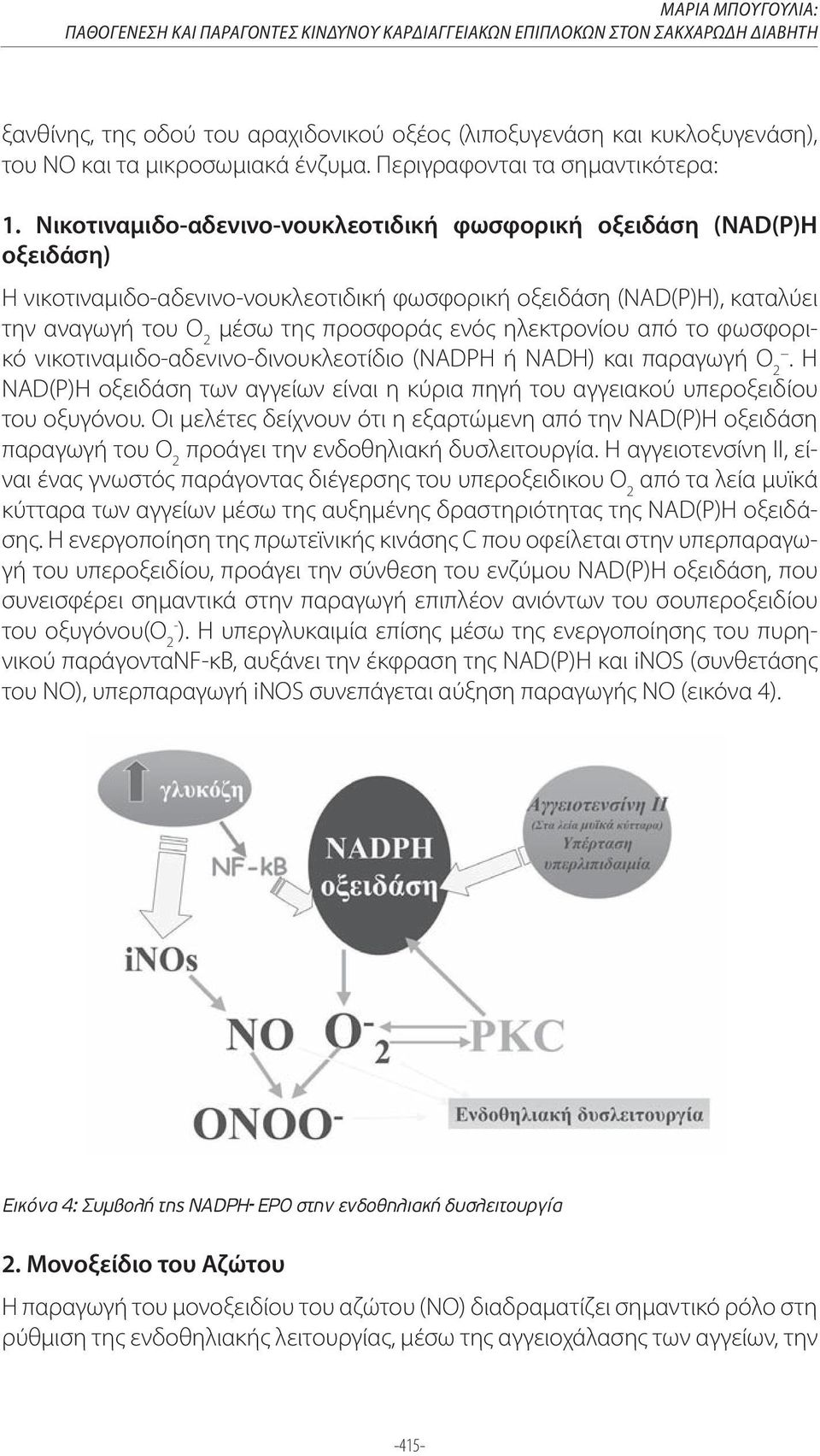 Περιγραφονται τα σημαντικότερα: οξειδάση) Η νικοτιναμιδο-αδενινο-νουκλεοτιδική φωσφορική οξειδάση (NAD(P)H), καταλύει την αναγωγή του O 2 μέσω της προσφοράς ενός ηλεκτρονίου από το φωσφορικό