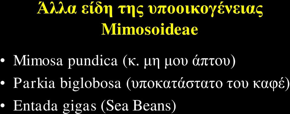 κε κνπ άπηνπ) Parkia biglobosa