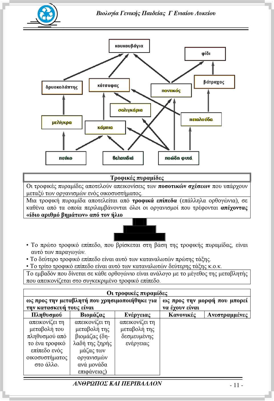 πξψην ηξνθηθφ επίπεδν, πνπ βξίζθεηαη ζηε βάζε ηεο ηξνθηθήο ππξακίδαο, είλαη απηφ ησλ παξαγσγψλ. Σν δεχηεξν ηξνθηθφ επίπεδν είλαη απηφ ησλ θαηαλαισηψλ πξψηεο ηάμεο.