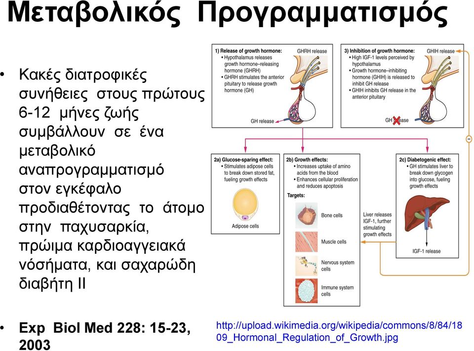 παχυσαρκία, πρώιμα καρδιοαγγειακά νόσήματα, και σαχαρώδη διαβήτη ΙΙ Exp Biol Med 228: