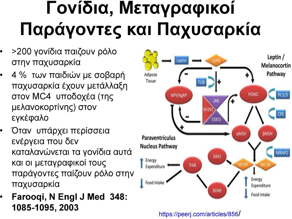 Όταν υπάρχει περίσσεια ενέργεια που δεν καταλανώνεται τα γονίδια αυτά και οι μεταγραφικοί τους