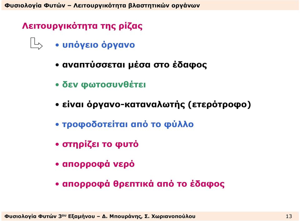 τροφοδοτείται από το φύλλο στηρίζειτοφυτό απορροφά νερό απορροφά