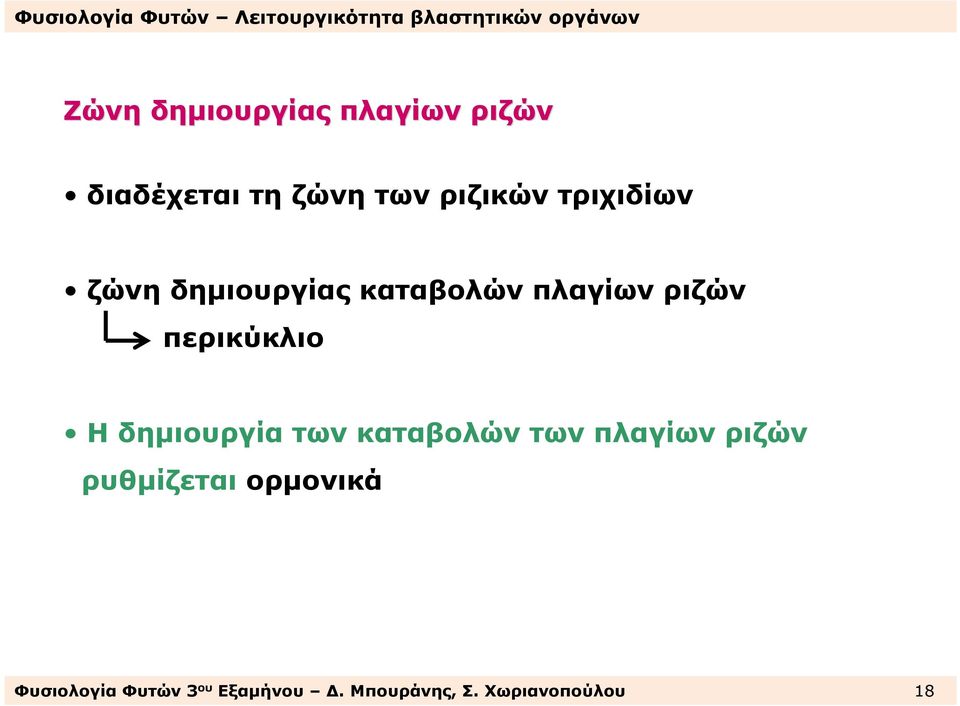 Η δηµιουργία των καταβολών των πλαγίων ριζών ρυθµίζεται