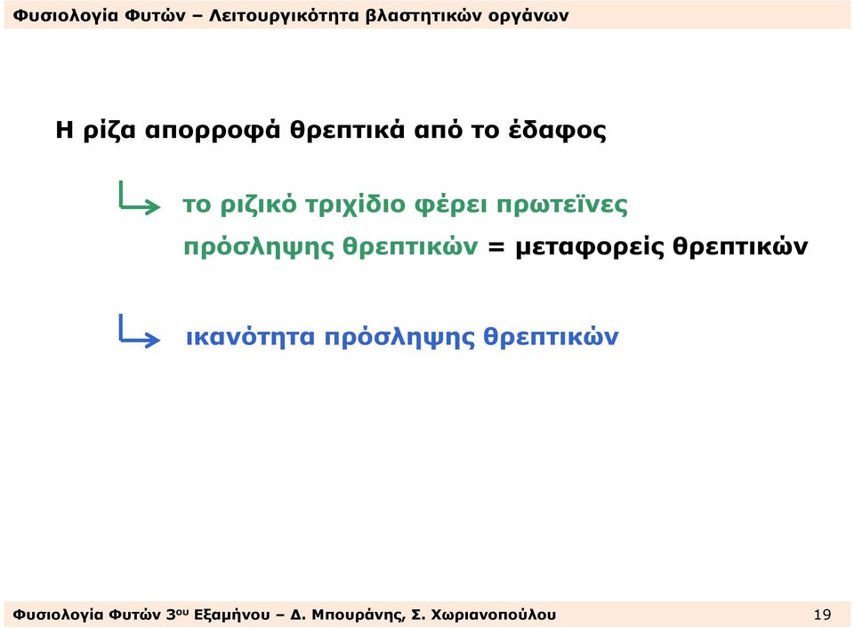 µεταφορείς θρεπτικών ικανότητα πρόσληψης θρεπτικών