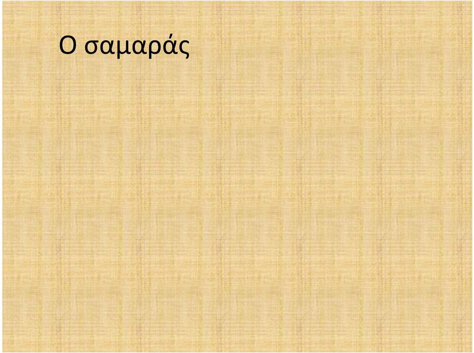 Το γαϊδούρι και το μουλάρι ήταν τα πιο διαδεδομένα μέσα μεταφοράς.