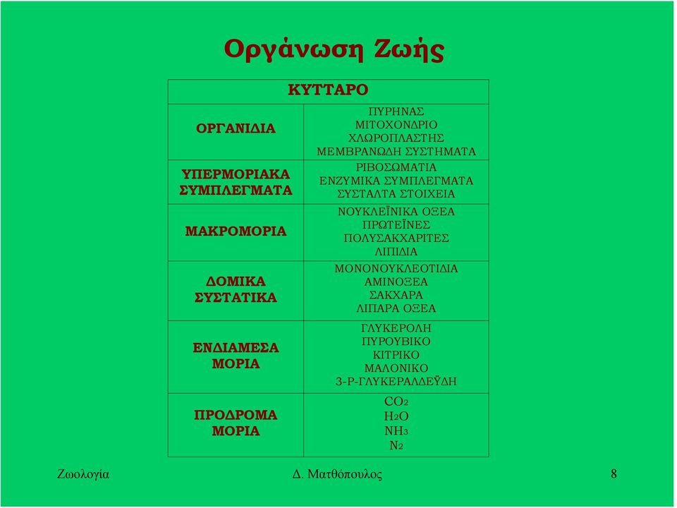 ΣΥΣΤΑΛΤΑ ΣΤΟΙΧΕΙΑ ΝΟΥΚΛΕΪΝΙΚΑ ΟΞΕΑ ΠΡΩΤΕΪΝΕΣ ΠΟΛΥΣΑΚΧΑΡΙΤΕΣ ΛΙΠΙΔΙΑ ΜΟΝΟΝΟΥΚΛΕΟΤΙΔΙΑ ΑΜΙΝΟΞΕΑ ΣΑΚΧΑΡΑ