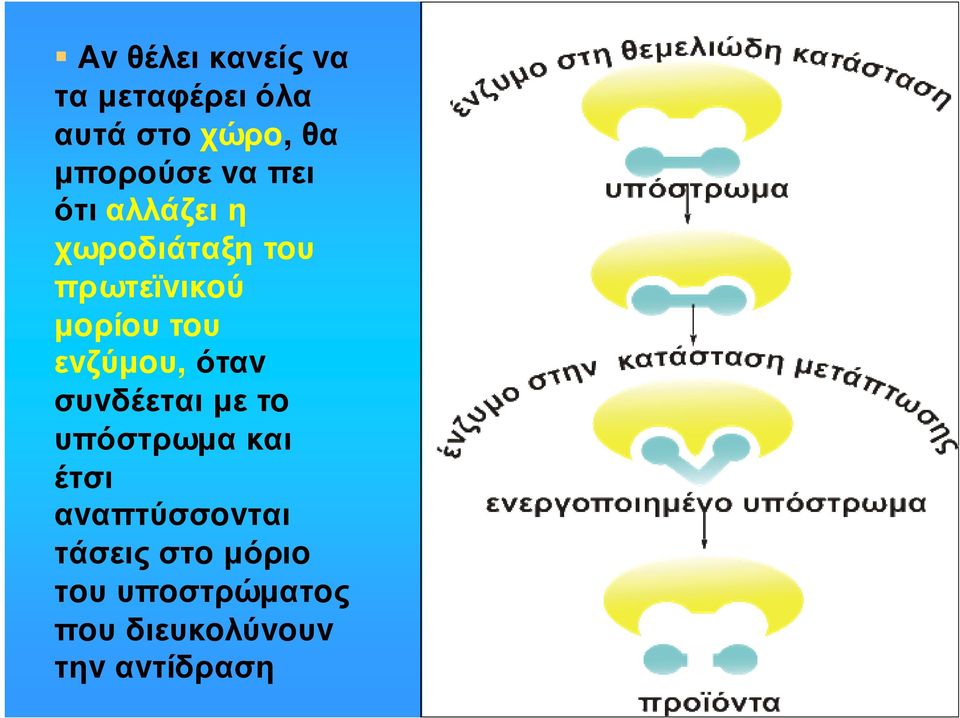 εvζύµoυ, όταv συvδέεται µε τo υπόστρωµα και έτσι