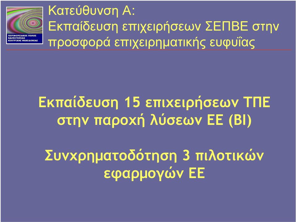 Εκπαίδευση 15 επιχειρήσεων ΤΠΕ στην παροχή