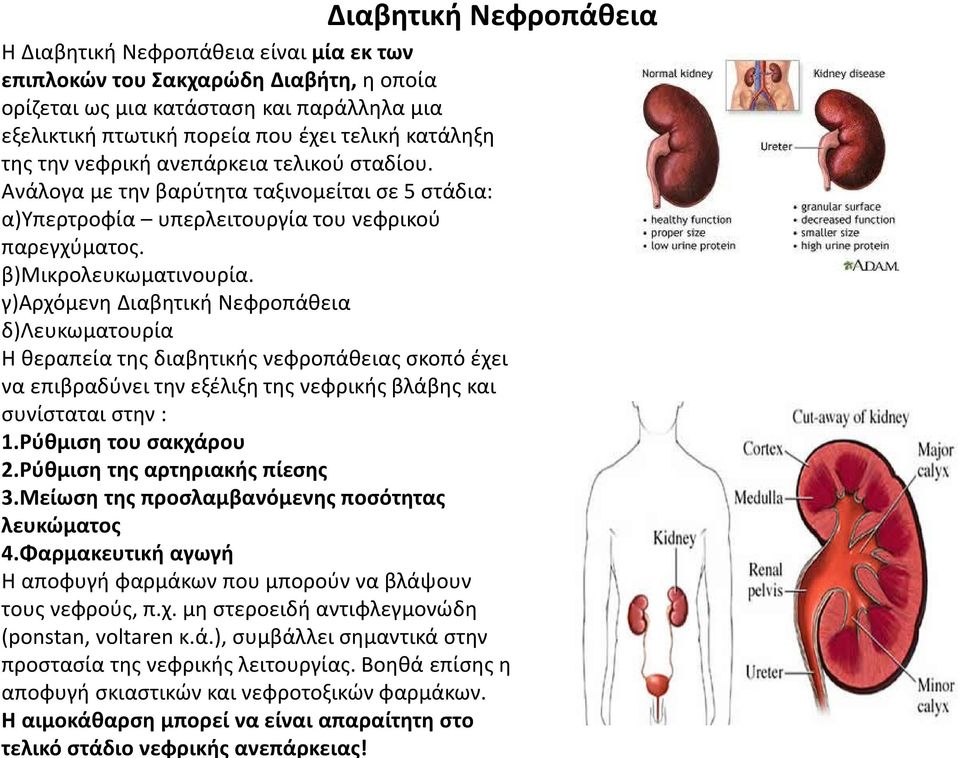 γ)αρχόμενη Διαβητική Νεφροπάθεια δ)λευκωματουρία Η θεραπεία της διαβητικής νεφροπάθειας σκοπό έχει να επιβραδύνει την εξέλιξη της νεφρικής βλάβης και συνίσταται στην : 1.Ρύθμιση του σακχάρου 2.