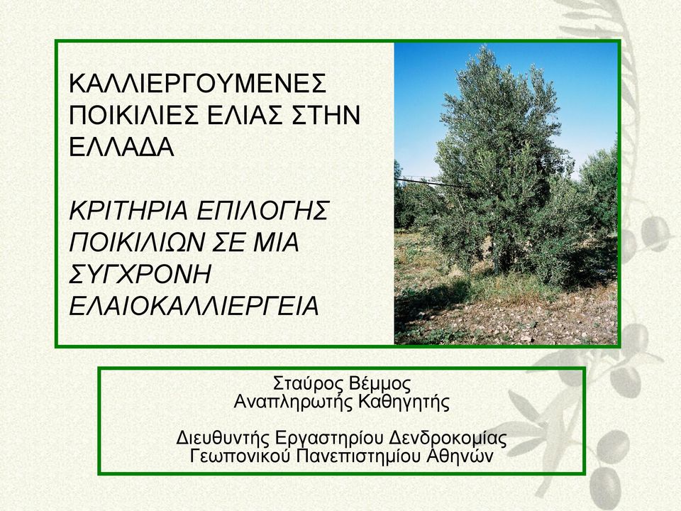 ηαύξνο Βέκκνο Αλαπιεξσηήο Καζεγεηήο Γηεπζπληήο