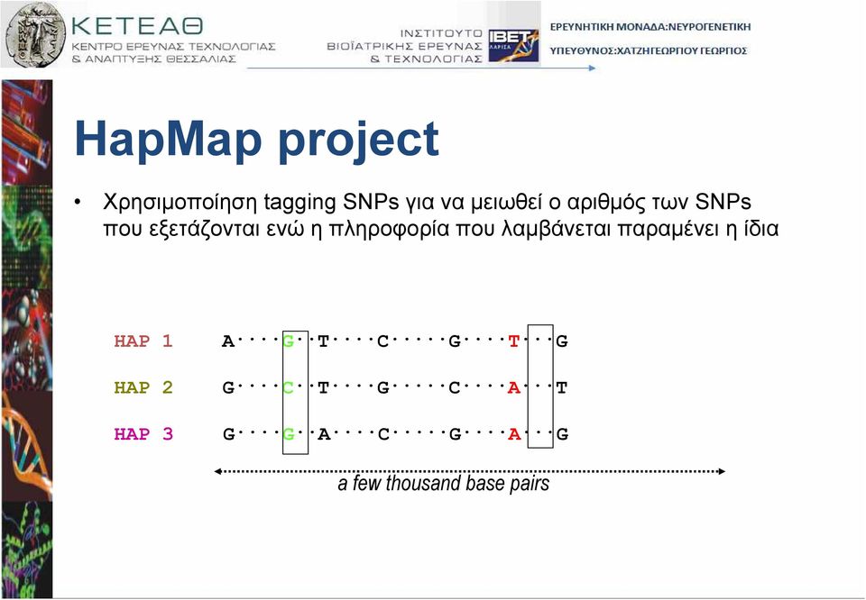 λαµβάνεται παραµένει η ίδια HAP 1 HAP 2 HAP 3 A G T C G