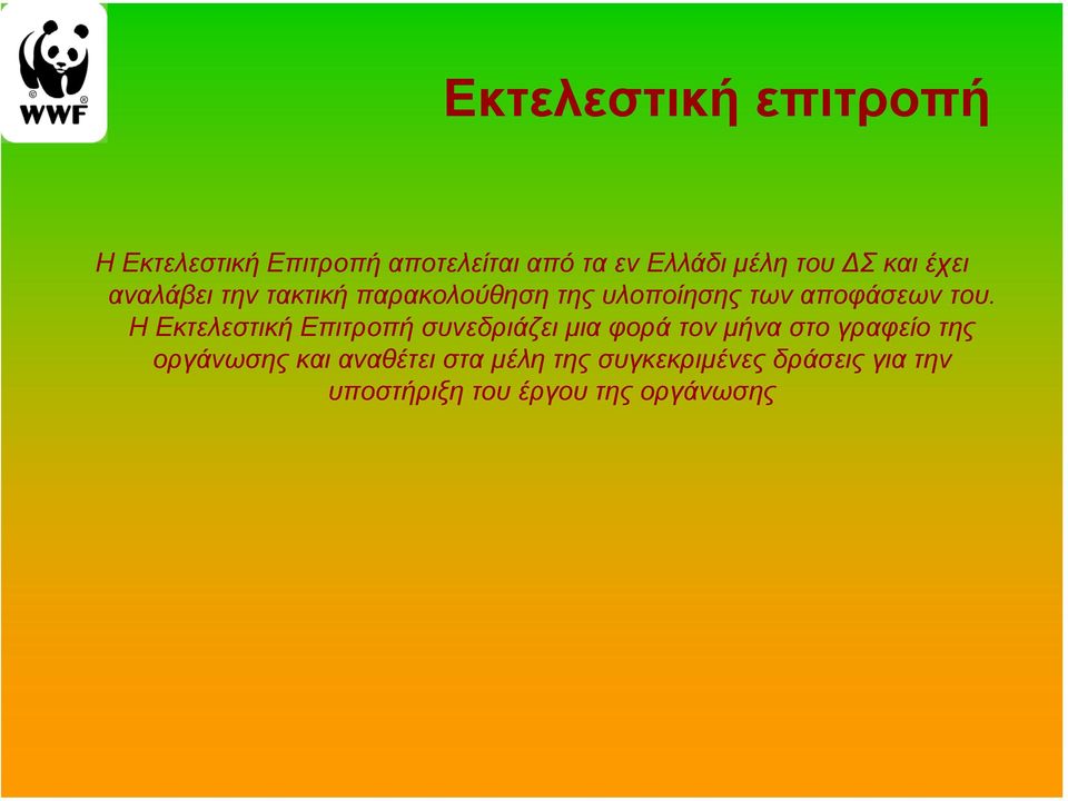 Η Εκτελεστική Επιτροπή συνεδριάζει µια φορά τον µήνα στο γραφείο της οργάνωσης και