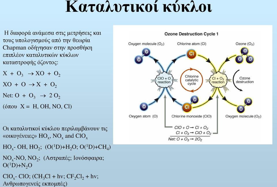 Cl) Οι καταλυτικοί κύκλου περιλαμβάνουν τις «οικογένειες» HO x, NO x and ClO x HO x - OH, HO 2 ; (O( 1 D)+H 2 O; O( 1