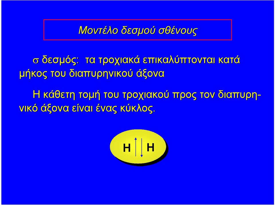 διαπυρηνικού άξονα Η κάθετη τομή του