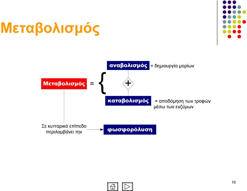 αποδόµηση των τροφών µέσω των ενζύµων Σε