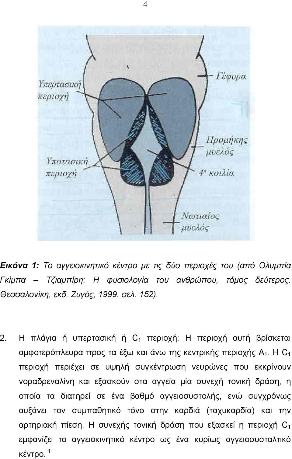 Η C 1 περιοχή περιέχει σε υψηλή συγκέντρωση νευρώνες που εκκρίνουν νοραδρεναλίνη και εξασκούν στα αγγεία μία συνεχή τονική δράση, η οποία τα διατηρεί σε ένα βαθμό