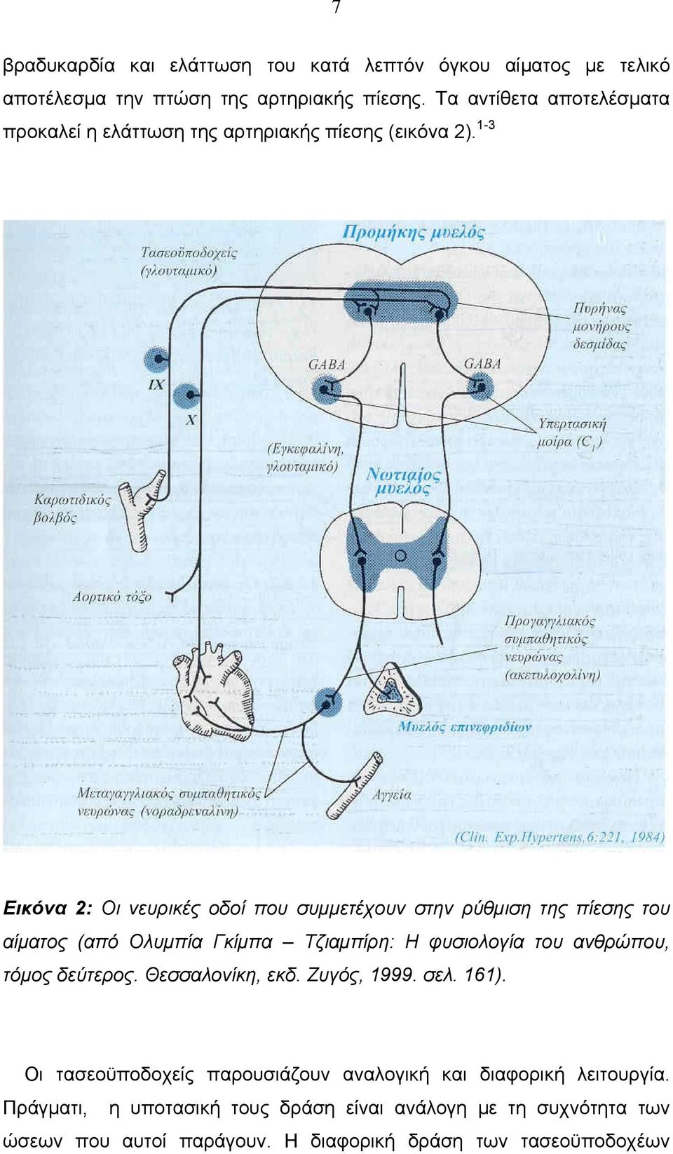 1-3 Εικόνα 2: Οι νευρικές οδοί που συμμετέχουν στην ρύθμιση της πίεσης του αίματος (από Ολυμπία Γκίμπα Τζιαμπίρη: Η φυσιολογία του ανθρώπου, τόμος
