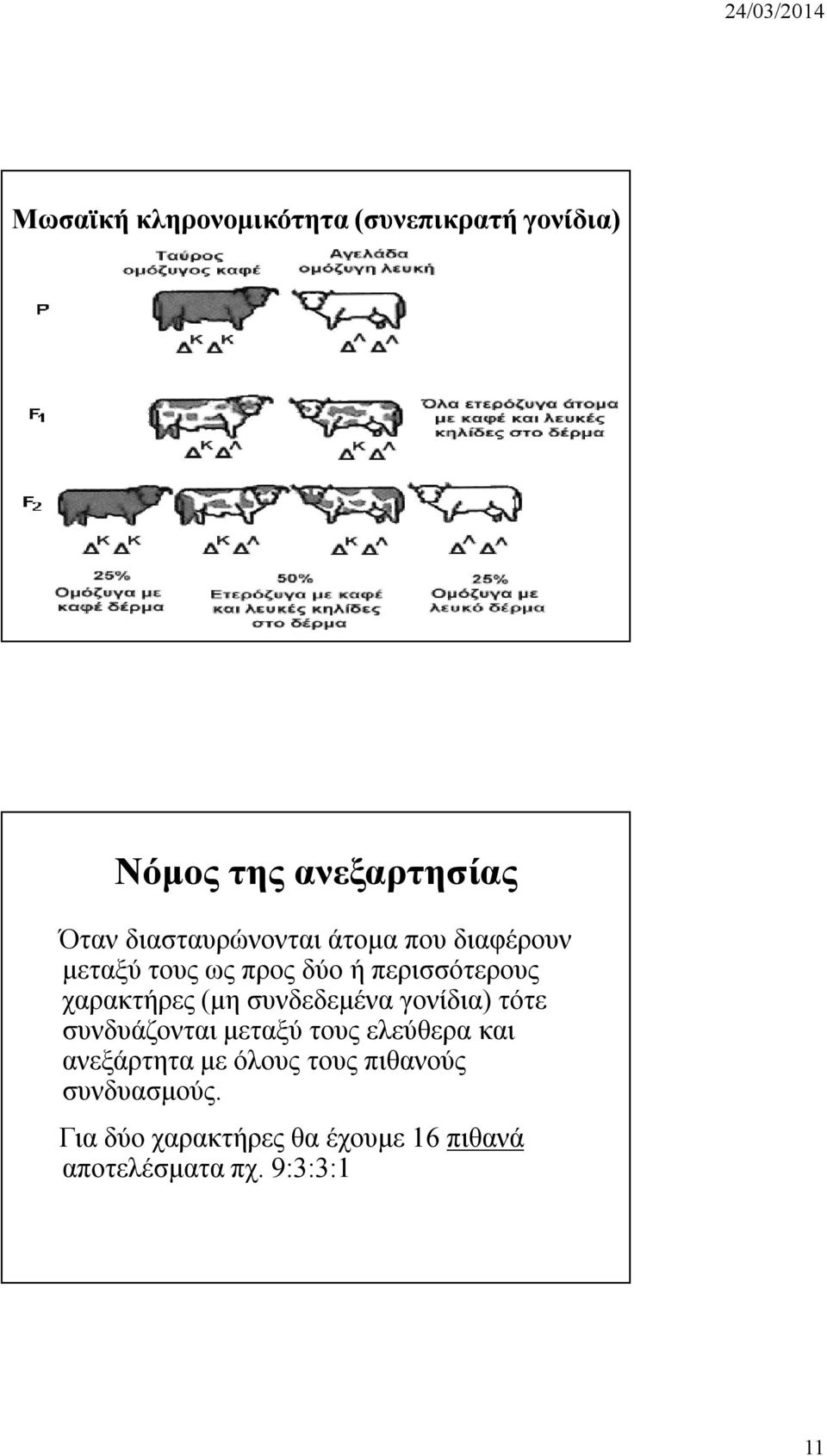 χαρακτήρες (μη συνδεδεμένα γονίδια) τότε συνδυάζονται μεταξύ τους ελεύθερα και