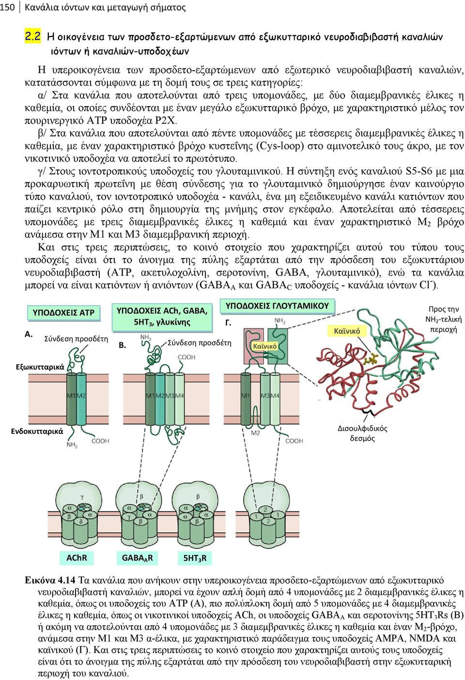κατατάσσονται σύμφωνα με τη δομή τους σε τρεις κατηγορίες: α/ Στα κανάλια που αποτελούνται από τρεις υπομονάδες, με δύο διαμεμβρανικές έλικες η καθεμία, οι οποίες συνδέονται με έναν μεγάλο