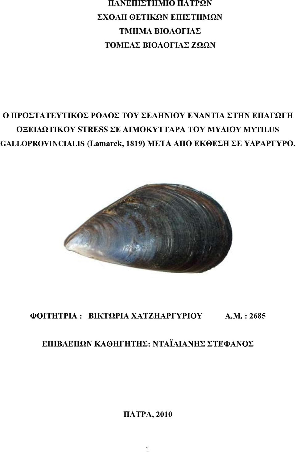 ΣΟΤ ΜΤΓΗΟΤ MYTILUS GALLOPROVINCIALIS (Lamarck, 1819) ΜΔΣΑ ΑΠΟ ΔΚΘΔΖ Δ ΤΓΡΑΡΓΤΡΟ.