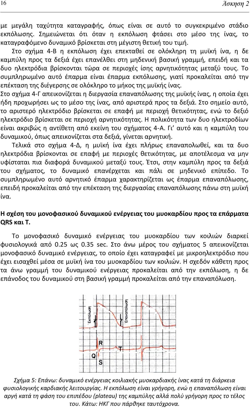 το ςχιμα 4-Β θ εκπόλωςθ ζχει επεκτακεί ςε ολόκλθρθ τθ μυϊκι ίνα, θ δε καμπφλθ προσ τα δεξιά ζχει επανζλκει ςτθ μθδενικι βαςικι γραμμι, επειδι και τα δυο θλεκτρόδια βρίςκονται τϊρα ςε περιοχζσ ίςθσ