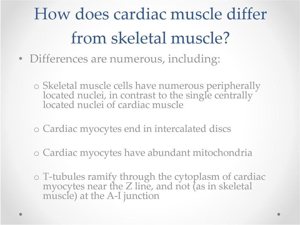 contrast to the single centrally located nuclei of cardiac muscle o Cardiac myocytes end in intercalated