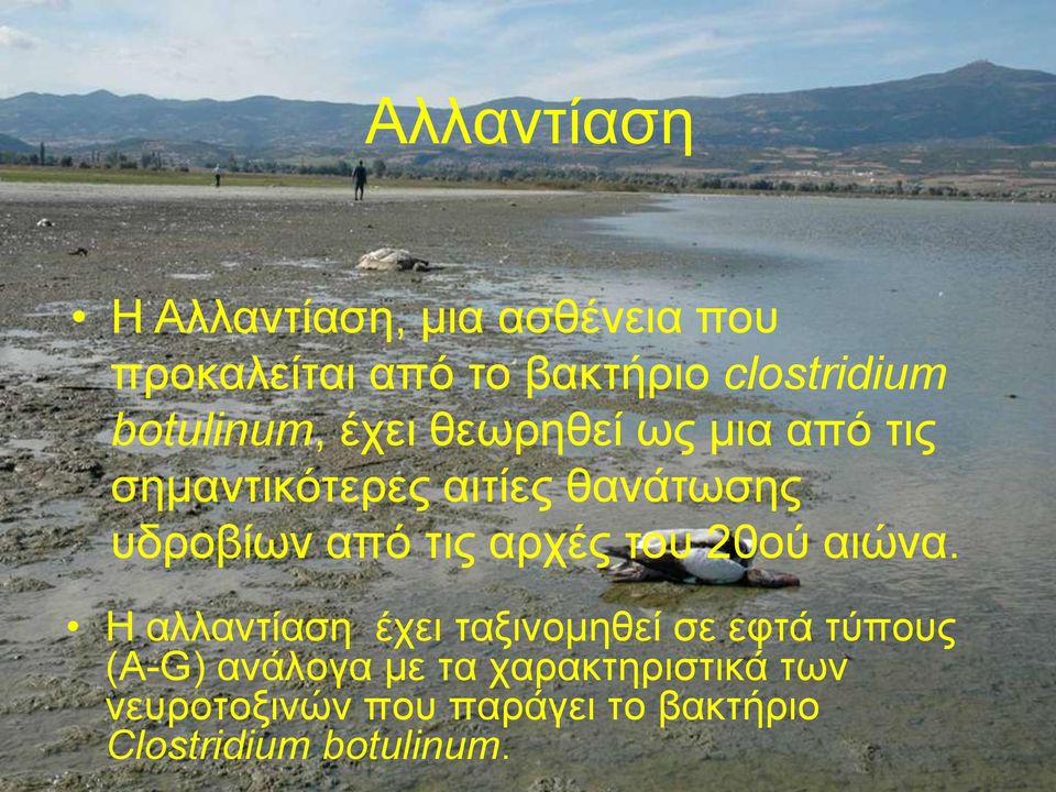 από τις αρχές του 20ού αιώνα.