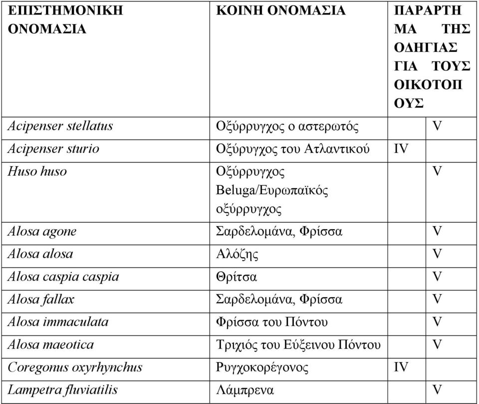 V Alosa alosa Αλόζης V Alosa caspia caspia Θρίτσα V Alosa fallax Σαρδελομάνα, Φρίσσα V Alosa immaculata Φρίσσα του